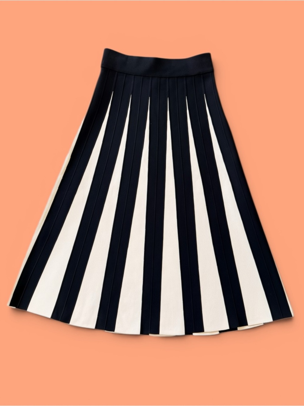 Anthropologie Black and White Vertical-Striped Pleated A-Line Skirt